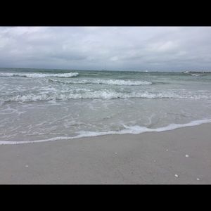 Meet your Posher, Leia